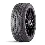 Зимние шины 255/50 R19 Doublestar DW02 107T  