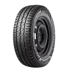 Зимние шины 195/75 R16 DoubleStar DW06 107/105R 